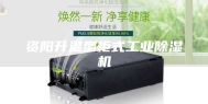 资阳升温型柜式工业除湿机