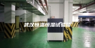 武汉恒温恒湿试验箱