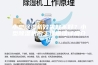 小型除湿机效果好不好？小型除湿机的工作原理详细介绍