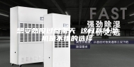 想安然度过回南天 这几款除湿机是不错的选择