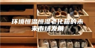 环境恒温恒湿老化箱的未来市场发展
