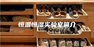 恒温恒湿实验室简介