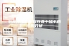 转轮除湿机在软胶囊干燥中的应用分析