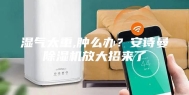 湿气太重,肿么办？安诗曼除湿机放大招来了