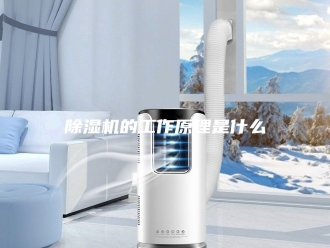 企业新闻除湿机的工作原理是什么