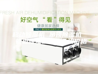 行业新闻移动除湿机 吊顶除湿机  管道除湿机厂家介绍价格