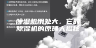 除湿机用处大，它的除湿机的原理大揭秘