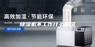 除湿机不工作什么原因