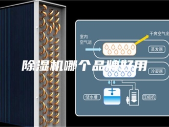 企业新闻除湿机哪个品牌好用