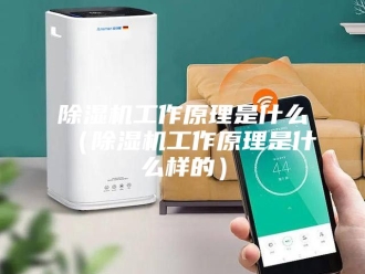 企业新闻除湿机工作原理是什么（除湿机工作原理是什么样的）