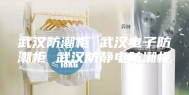 武汉防潮柜 武汉电子防潮柜 武汉防静电防潮柜