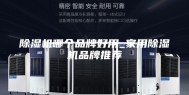 除湿机哪个品牌好用_家用除湿机品牌推荐