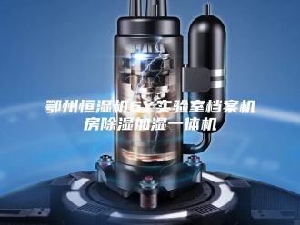 企业新闻鄂州恒湿机6Y实验室档案机房除湿加湿一体机