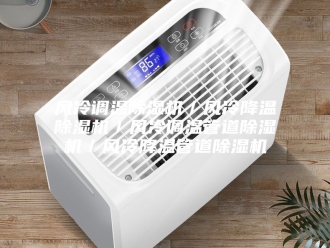 企业新闻风冷调温除湿机／风冷降温除湿机／风冷调温管道除湿机／风冷降温管道除湿机