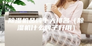 除湿机品牌十大排名（除湿机什么牌子好用）