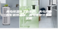 青岛恒温恒湿柜生产，青岛户外投影机恒温箱，青岛博物馆展柜定做