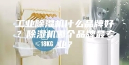 工业除湿机什么品牌好？除湿机哪个品牌最专业？