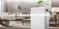 北京工业除湿机什么品牌好