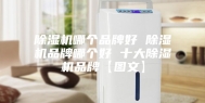 除湿机哪个品牌好 除湿机品牌哪个好 十大除湿机品牌【图文】