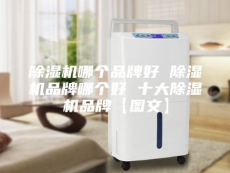 企业新闻除湿机哪个品牌好 除湿机品牌哪个好 十大除湿机品牌【图文】