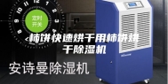 柿饼快速烘干用柿饼烘干除湿机