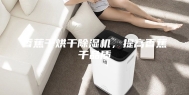 香蕉干烘干除湿机，提高香蕉干品质