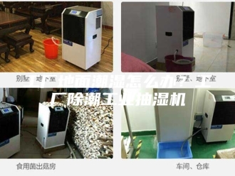 企业新闻工厂地面潮湿怎么办？工厂除潮工业抽湿机