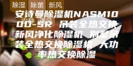安诗曼除湿机NASM100D-SR 吊装全热交换新风净化除湿机 别墅吊装全热交换除湿机 大功率热交换除湿