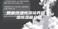 智能恒温恒湿培养箱-恒温恒湿箱介绍