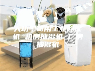 企业新闻大功率商用工业除湿机 机房抽湿机 厂房抽湿机