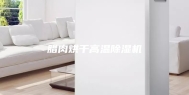 腊肉烘干高温除湿机