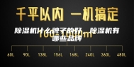 除湿机什么牌子的好，除湿机有哪些品牌