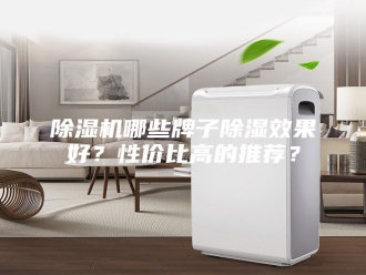 企业新闻除湿机哪些牌子除湿效果好？性价比高的推荐？