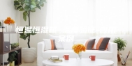 恒温恒湿箱 温度验证-应用案例
