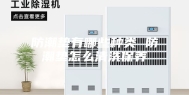 防潮垫有哪些种类 防潮垫怎么清洗保养