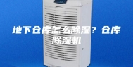 地下仓库怎么除湿？仓库除湿机