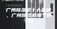 广州除湿机十大品牌，广州除湿机哪个牌子好