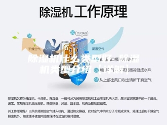 企业新闻除湿机什么类型好 除湿机类型介绍【详解】