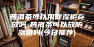 普洱茶可以用除湿柜存放吗-普洱茶可以放防潮箱吗(今日推荐)