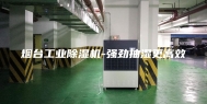 烟台工业除湿机-强劲抽湿更高效