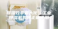 除湿效率最大化，工业除湿机如何正确使用