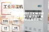 2023年，好用除湿机抽湿机推荐：除湿机哪个牌子好？真的有用吗？性价比品牌推荐
