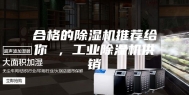 合格的除湿机推荐给你 ，工业除湿机供销