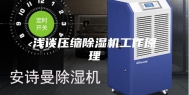 浅谈压缩除湿机工作原理