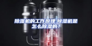 除湿机的工作原理,除湿机是怎么除湿的？