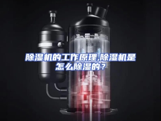 企业新闻除湿机的工作原理,除湿机是怎么除湿的？