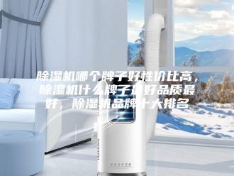 企业新闻除湿机哪个牌子好性价比高，除湿机什么牌子最好品质最好，除湿机品牌十大排名