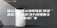 哈尔滨销售泳池除湿机,除湿热泵工作原理,实力除湿机生产制造厂家