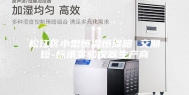 松江区小型恒温恒湿箱 交期短-标承实验仪器生产商
