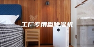 工厂专用型除湿机